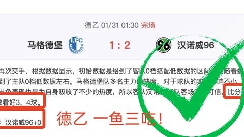 土超赛事剧情迭起，耐人寻味分析